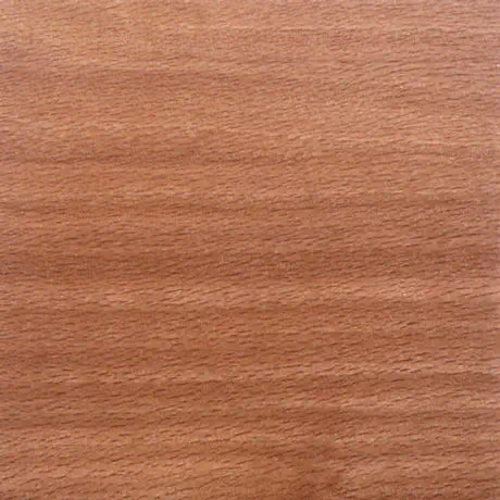 Beech with Polyurethane