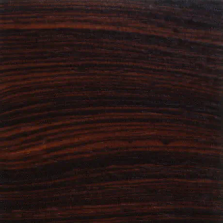 Cocobolo with Lacquer