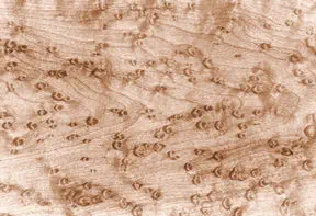 Close up of birdseye maple