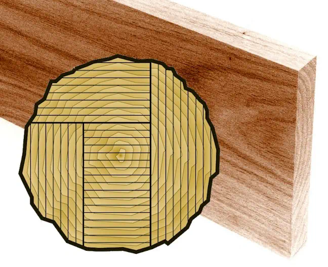 Illustration of plain sawn wood showing a wooden board and a diagram of how plain sawn boards are cut from a log