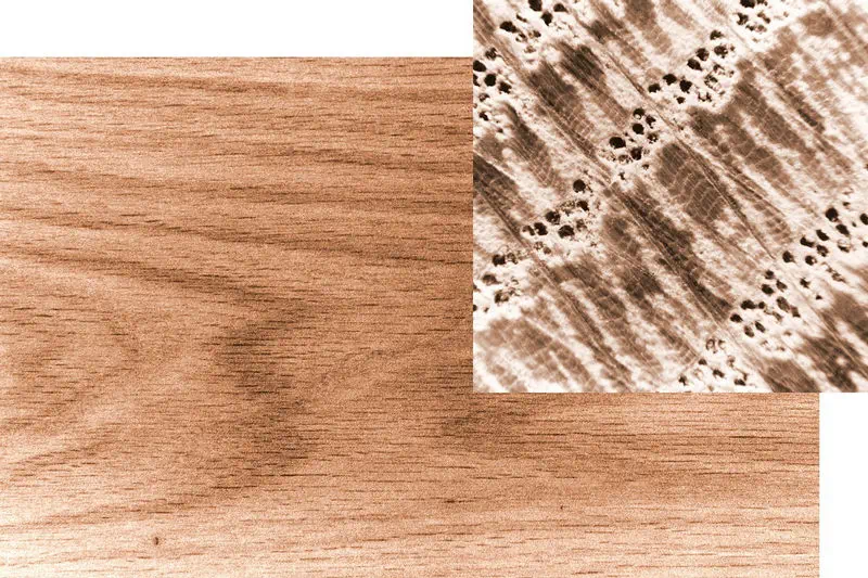 Oak board in the background with a close up of Hardwood Pores