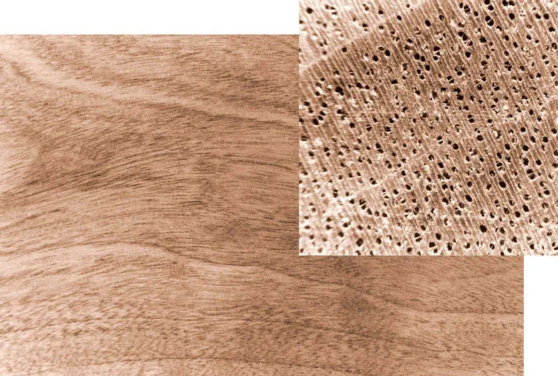 Mahogany board in the background with close up of Ring diffused Hardwood Pores